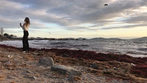 Model posing on the beach Stock Footage 145901227
