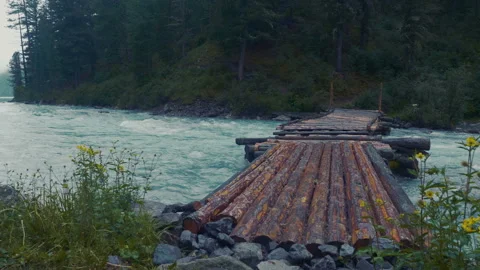 Model released man hiking on log foot bridge over river into through thick Stock-Footage 93556468