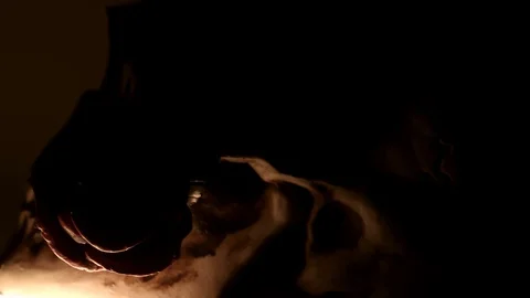 Model rose clamped between the jaws of human skull Stock Footage 114088339