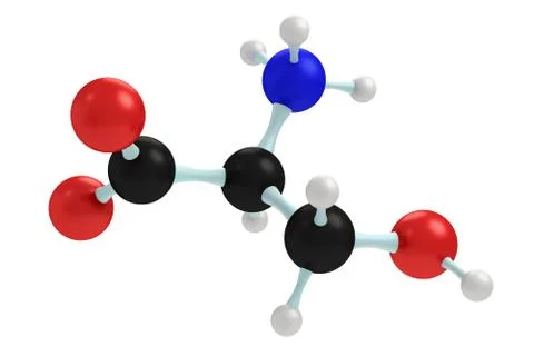 Model of serine Stock Illustration