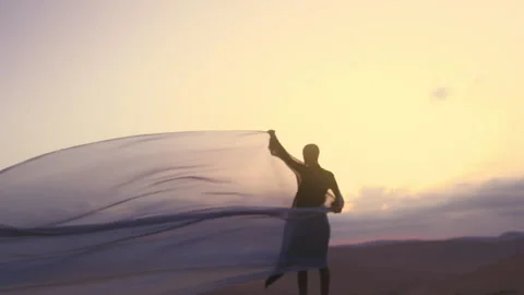 Model with shaved head holding a silk sheet in the wind in desert Stock Footage 275645072
