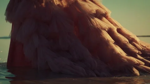Model showcases unique gown design at sunset on serene beach Stock Footage 310181520