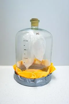 Model for simulating the action of human lungs Stock Photos