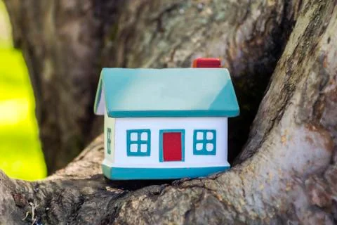 Model of a small house on a tree in a forest. Concept on the topic of housing Stock Photos