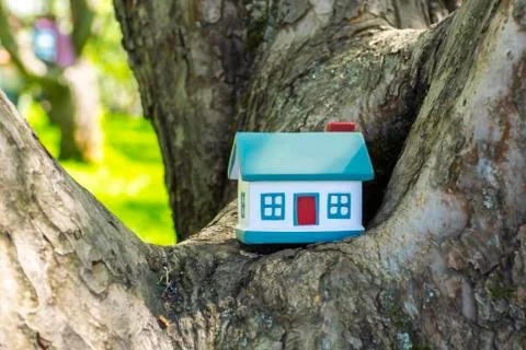 Model of a small house on a tree in a forest. Concept on the topic of housing Stock Photos