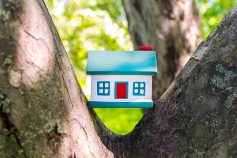 Model of a small house on a tree in a forest. Concept on the topic of housing Stock Photos