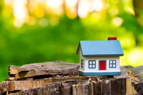 Model of a small house on a tree in a forest. Concept on the topic of housing Stock Photos