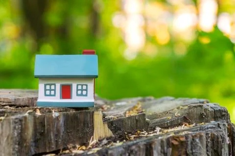 Model of a small house on a tree in a forest. Concept on the topic of housing Stock Photos