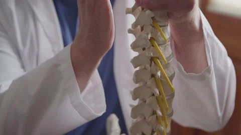 Model Spinal Cord as a Chiropractor Explains Vertebrae Functions to a Patient Video stock 208758966