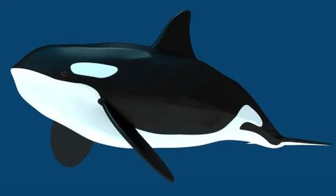A model of a stylized killer whale. 3D illustration Stock Illustration