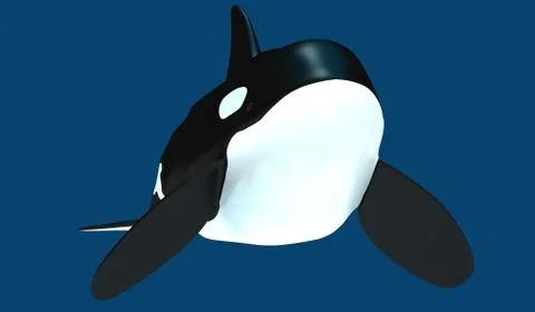 A model of a stylized killer whale. 3D illustration Stock Illustration