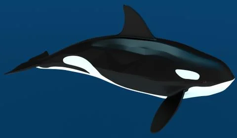 A model of a stylized killer whale. 3D illustration Stock Illustration