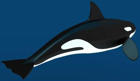A model of a stylized killer whale. 3D illustration Stock Illustration