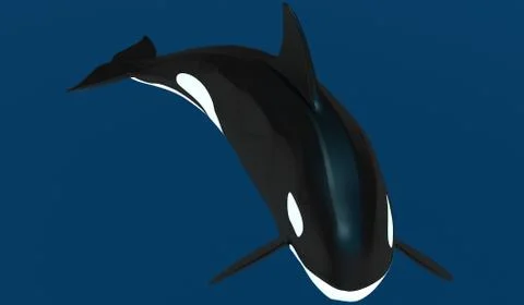 A model of a stylized killer whale. 3D illustration Stock Illustration