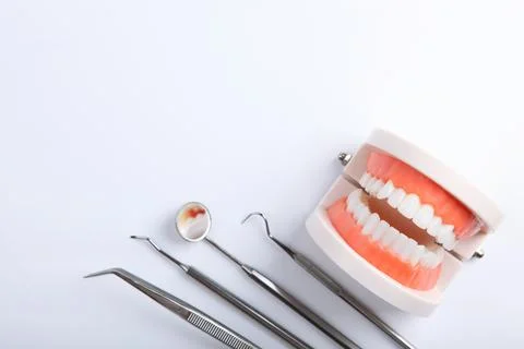 Model of teeth and dental instruments and dental care products Stockfoto's