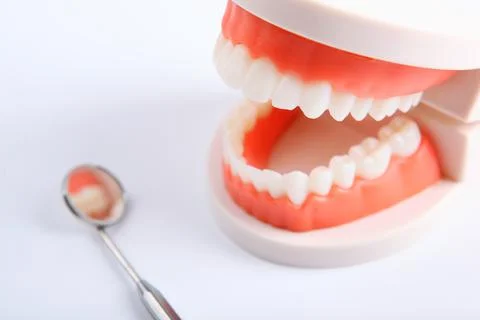 Model of teeth and dental instruments and dental care products Stock Photos