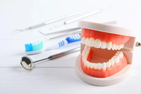 Model of teeth and dental instruments and dental care products Stockfoto's