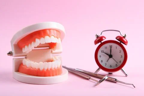 Model of teeth and dental instruments and dental care products Stockfoto's