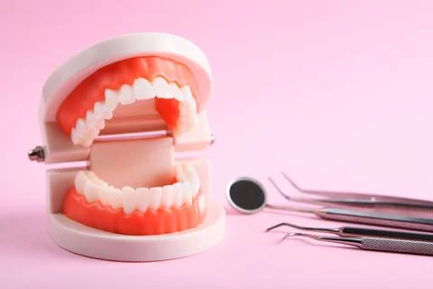 Model of teeth and dental instruments and dental care products Stock Photos