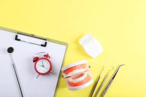 Model of teeth and dental instruments and dental care products Stock Photos