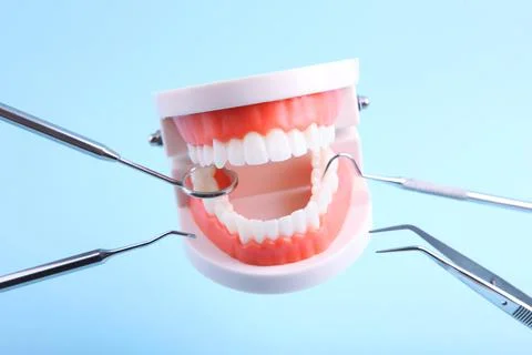 Model teeth and dental instruments levitate in the air on a blue background Stock-Fotos