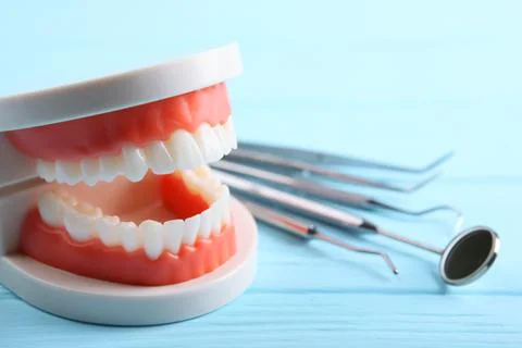 Model of teeth and dental instruments and dental care products Stock-Fotos
