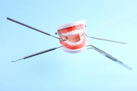 Model teeth and dental instruments levitate in the air on a blue background Stock Photos