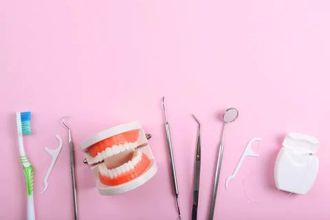 Model of teeth and dental instruments and dental care products Stockfoto's
