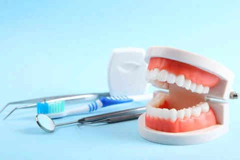 Model of teeth and dental instruments and dental care products Stockfoto's