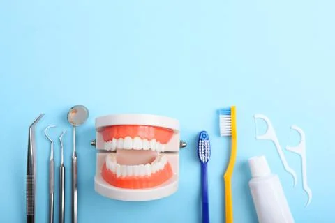 Model of teeth and dental instruments and dental care products Stock-Fotos