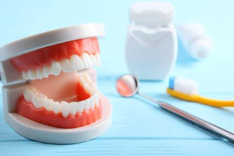 Model of teeth and dental instruments and dental care products Fotos Stock