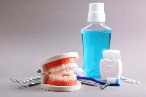 Model of teeth and dental instruments and dental care products Stock-Fotos