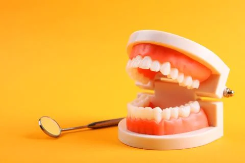 Model of teeth and dental instruments and dental care products Stock-Fotos