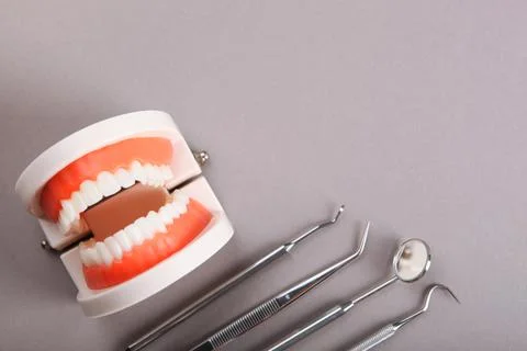 Model of teeth and dental instruments and dental care products Stock-Fotos