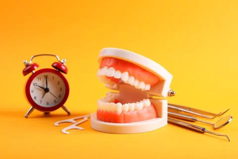 Model of teeth and dental instruments and dental care products Stock-Fotos