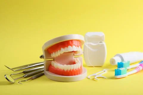 Model of teeth and dental instruments and dental care products Stock-Fotos