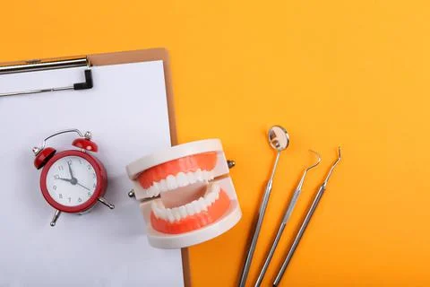 Model of teeth and dental instruments and dental care products Stock-Fotos