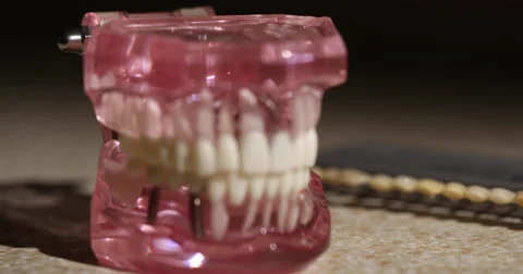 Model Teeth Slow Pull Stock Footage 62766953