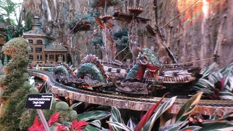 Model train that looks like a dragon 4K Stock Footage 93657586