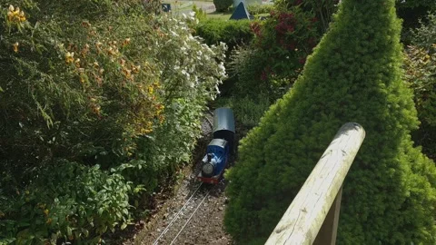Model train pulling a carriage through miniature trees Stockbeeldmateriaal 202939675
