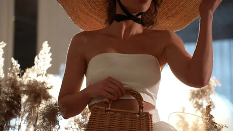 The model walked down the pampas, her long hair swaying in the breeze. Vidéo 239846533