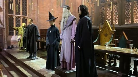 Model wearing Professor Dumbledore, Snape and McGonagall costumes and wigs Stock Footage 322922728