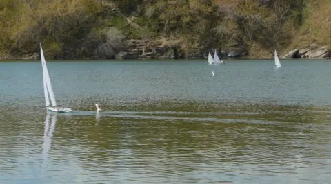 Model yachts competing in the pond Stock Footage 11056241