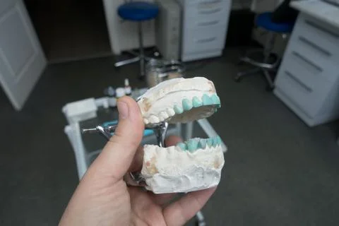 Modeling of artificial teeth on a plaster model Stock Photos