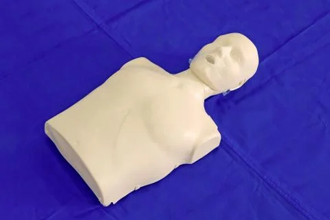 Modeling of dummy used in cpr training 写真素材