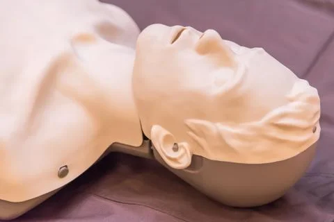 Modeling of dummy used in CPR training Foto stock