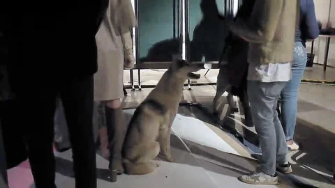 Models Backstage Stock Footage ~ Royalty Free Stock Videos | Pond5