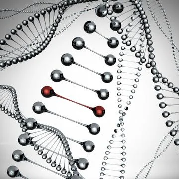 Models of the dna molecule Stock Illustration