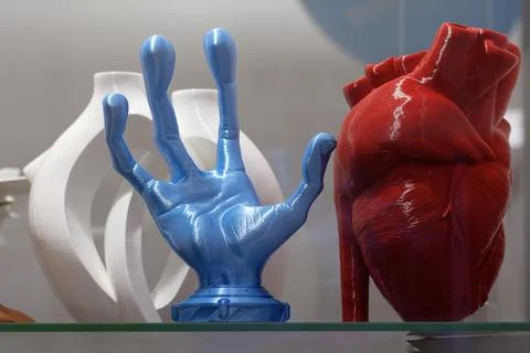 Models printed from plastic on a 3D printer Stock Photos