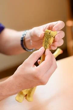 Models of the radial bones of the hand Stock Photos
